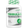 Booster testosteronu 6PAK Tribulus Terrestris (90 kapsułek)