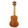 Ukulele PUKA PK-PEC Koncert Naturalny Transparent Drewno gryfu Okoume