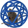Zabawka CATS COLLECTION Kula z grającą myszką