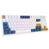 Klawiatura ROYAL KLUDGE RK89 RGB Lemon Switch Biały Komunikacja z komputerem Bezprzewodowa