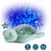 Projektor CLOUD B Żółw podwodny CLTT-9001-GR Źródło światła w komplecie Tak