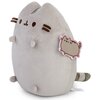 Maskotka AURORA Pusheen P-220 Seria Pusheen