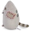 Maskotka AURORA Pusheen P-220 Płeć Chłopiec
