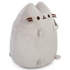 Maskotka AURORA Pusheen P-220 Płeć Dziewczynka
