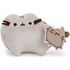 Maskotka AURORA Pusheen Mały P-222