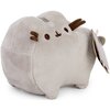 Maskotka AURORA Pusheen Mały P-222 Płeć Chłopiec