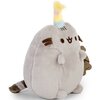 Maskotka AURORA Pusheen Impreza  P-227 Płeć Chłopiec
