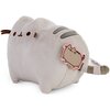 Maskotka AURORA Pusheen P-221 Płeć Chłopiec