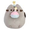 Maskotka AURORA Pusheen Impreza urodzinowa P-232