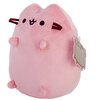 Maskotka AURORA Pusheen Różowy Pastel P-238 Płeć Chłopiec