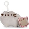 Maskotka AURORA Pusheen Brelok P-234