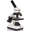 Mikroskop DELTA OPTICAL BioLight 300 + kamera DLT Długość [mm] 290