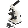 Mikroskop DELTA OPTICAL Biolight 100 Biały Długość [mm] 290