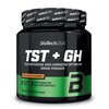 Booster testosteronu BIOTECH TST + GH Pomarańczowy (300 g) Smak Pomarańczowy