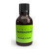 Płyn do płukania jamy ustnej HERBADENT Original 25 ml
