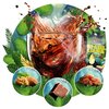 Kawa ziarnista BLUE ORCA COFFEE Brazilliana Toucano Arabica 2 x 1kg Mieszanka kaw Nie