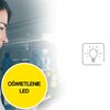 Lodówka MPM-200-CJ-29 E 122cm Biała Zmiana kierunku otwierania drzwi Tak