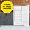 Lodówka MPM-200-CJ-29 E 122cm Biała Kolor producenta Biały