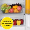 Lodówka MPM 248-FF-56 No Frost 180cm Biała Bezszronowa (No Frost) Pełny No Frost