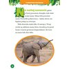 National Geographic Kids 5-minutowe historyjki Małe zwierzątka Tematyka Zwierzęta