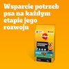 Karma dla psa PEDIGREE Professional Nutrition Adult z Drobiem i warzywami 12 kg Opakowanie Torebka