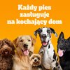 Karma dla psa PEDIGREE Professional Nutrition Adult z Drobiem i warzywami 12 kg Cechy Pełnoporcjowa
