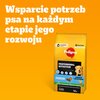 Karma dla psa PEDIGREE Junior Professional Nutrition Drób z warzywami 12 kg Opakowanie Torebka