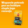 Karma dla psa PEDIGREE Professional Nutrition Adult z Wołowiną i warzywami 12 kg Opakowanie Torebka