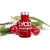 Napój LYCOPEN PRO Antyoxidant Drink Original Wiśniowy (15 x 250 ml) Bez glutenu Tak