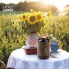 Lampa solarna LIGHTLOGIC LL SLR LED LAN RGB1 31331 Kolor Brązowy