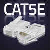Wtyk QOLTEC 54542 Przelotowy, Kategoria 5e, Pozłacane styki (100 szt.) Kolor Przezroczysty