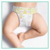 Pieluchy PAMPERS Premium Care Rozmiar 5 (116 szt.) Do wody Nie