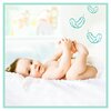 Pieluchy PAMPERS Premium Care Rozmiar 5 (116 szt.) Rodzaj Pieluchy