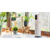 Nawilżacz ultradźwiękowy LEVOIT Oasis Mist 1000S Poziom hałasu [dB] 28