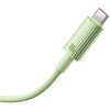 Kabel USB - USB-C BASEUS Habitat 100 W 1m Zielony Typ USB-A - USB-C