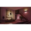 Kinkiet zewnętrzny PHILIPS HUE Dymera Czarny Rodzaj zabudowy Na elewacji