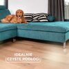 Szczotka VILEDA Always Clean Pet Pro Materiał trzonka Aluminium