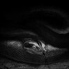 Książka Harry Potter i Czara Ognia Tom 4 J.K. Rowling (twarda okładka) Autor J.K. Rowling