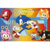 Puzzle TREFL Sonic The Hedgehog Sonic w akcji 17387 (60 elementów) Seria Sonic The Hedgehog