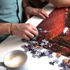 Puzzle TREFL Premium Plus Quality Photo Odyssey Big Ben Londyn 10827 (1000 elementów) Typ Dla dorosłych