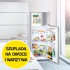 Lodówka LIEBHERR CTPELE 231 140.1cm Srebrna Bezszronowa (No Frost) Brak