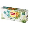 Herbata LIPTON Skrzyp z Pomarańczą (20 sztuk) Liczba saszetek 20