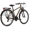 Rower trekkingowy KROSS Trans 2.0 M19 28 cali męski Khaki-czarny Rama Aluminiowa