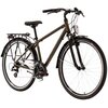 Rower trekkingowy KROSS Trans 2.0 M19 