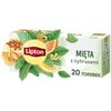 Herbata LIPTON Mięta z Cytrusami (20 sztuk) Aromat Mięta z cytrusami