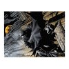 Puzzle WINNING MOVES Batman WM01454-ML1-6 (1000 elementów) Tematyka Film