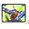Folia ochronna HOFI Paper Pro+ do Apple iPad Pro 11 Gen 5 2024 Matowy (2szt.) Cechy dodatkowe Precyzyjne dopasowanie