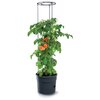 Doniczka do pomidorów PROSPERPLAST IPOM350-S433 18L Czarny Gwarancja 24 miesiące