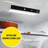 Lodówka CANDY CNCQ2T620EB Fresco 300 No Frost 205cm Czarna Liczba drzwi 2