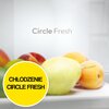 Lodówka CANDY CNCQ2T620EB Fresco 300 No Frost 205cm Czarna Kolor producenta Czarny
